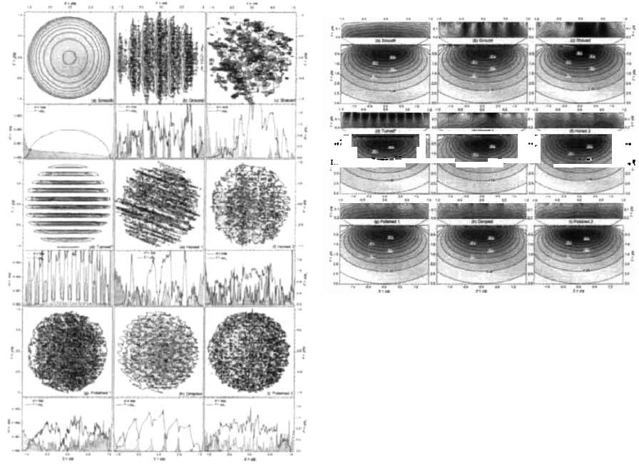 PŘEHLED SOUČASNÉHO STAVU POZNÁNÍ Obr. 1-10 Ukázky zkoumaných povrchových topografií [25