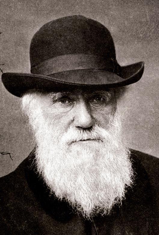5 První člověk, který napsal o masožravých rostlinách První, kdo napsal o masožravých rostlinách byl Charles Darwin, což byl britský přírodovědec a zakladatel evoluční biologie.
