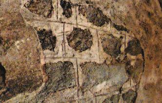 Povrchové úpravy kamene seminář STOP 2017 Obr. 1: Pietra rasa v kryptě louckého kláštera. Louka u Znojma, 1. třetina 13. století. (Foto autor, 2016) 40 Hilaire v Poitiers je doloženo zprávou z 6.