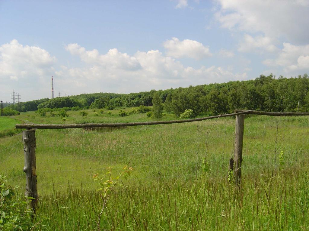 Obr.28 Dolnojiřetínská výsypka.