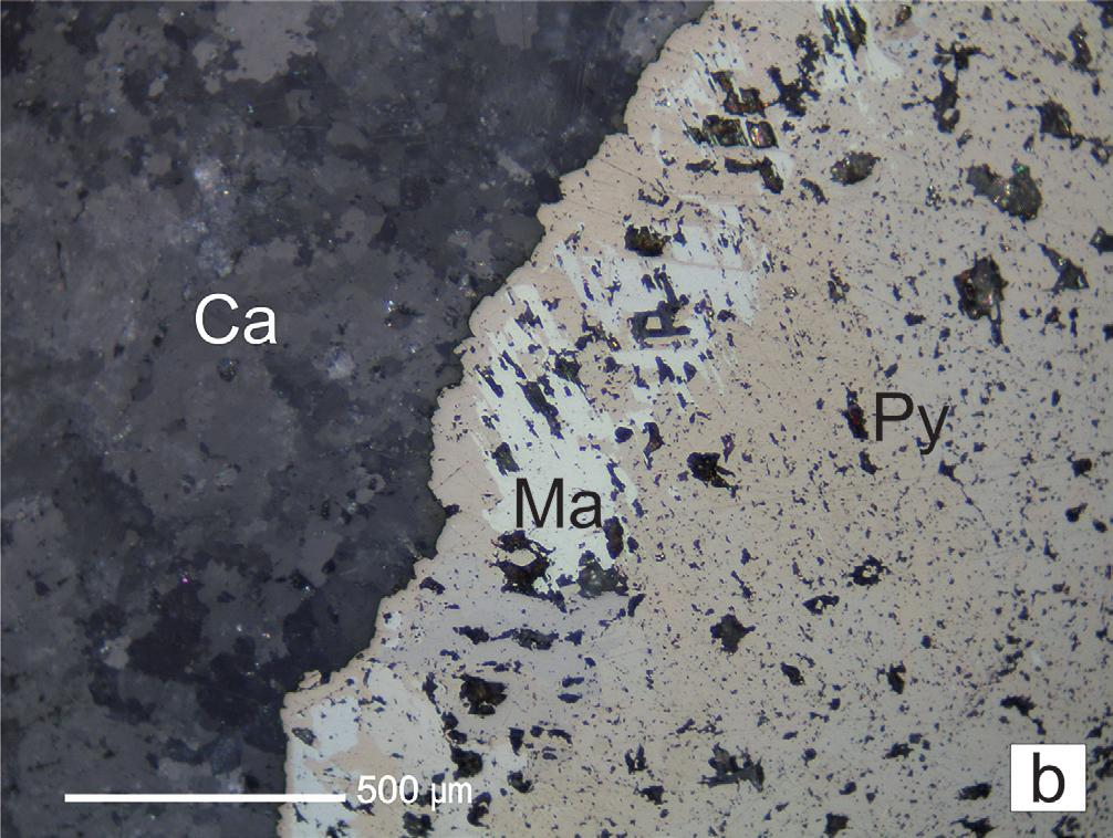 a) colomorphic structure of pyrite, b) pyrite (Py) with marcasite interpositions (Ma) in calcite (Ca). Polished thin section, reflected polarized light.