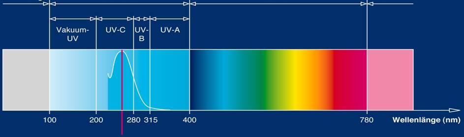 Hlavní dezinfekční účinek - princip UV záření inaktivuje patogenní mikroorganismy v důsledku strukturních změn v