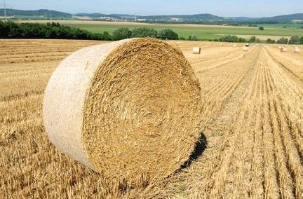 13 Nosným programem je výroba elektrické energie z bioplynové stanice s celkovou kapacitou 1MW.