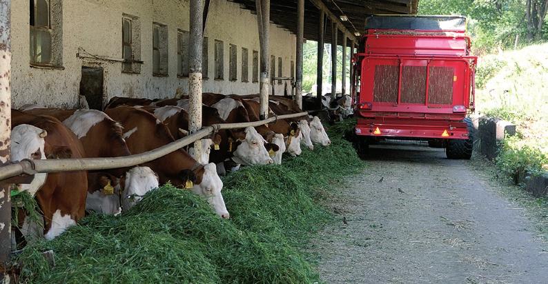 Základním požadavkem pro výrobu bio mléka a farmářských mléčných produktů je kvalitní krmivo. Abychom dosáhli bio kvality, rozhodli jsme se plně věnovat zelenému krmení od jara do podzimu.