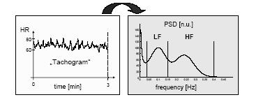 Měření variability srdečního rytmu popis průběhu