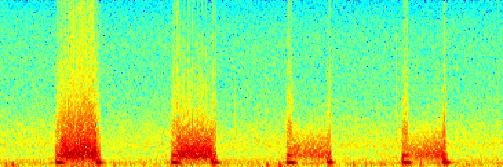 Frequency Trikuspidální nedomykavost.5 -.5-1.5 1 1.5 2 2.5 3 3.