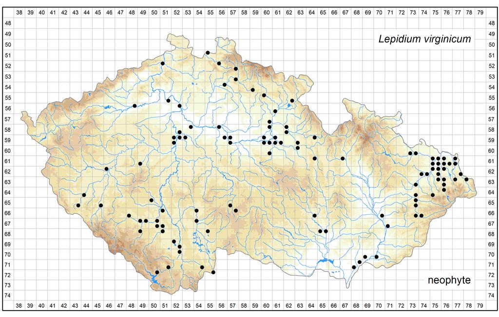 Distribution of Lepidium virginicum in the Czech Republic Author of the map: Michal Ducháček Map produced on: 12-06-2018 Database records used for producing the distribution map of Lepidium