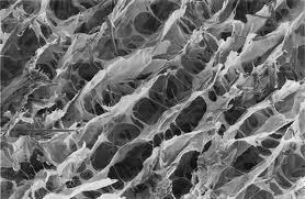 technologie Leaching method; Solvent casting; Phase