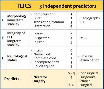 TLICS Thoraco-Lumbar Injury