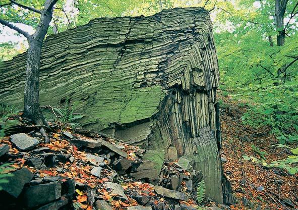 vaná Tr ická pahorkatina, vy í stupeà zalesnûné Oderské vrchy s nejvy í kótou okresu (Humenec 628,8 m n. m.).