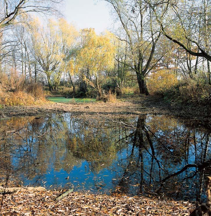 GEOLOGIE PodloÏí tvofií kvartérní tûrkové sedimenty pfiekryté fluvizemûmi na povod- Àov ch hlínách v nivû fieky Moravy.
