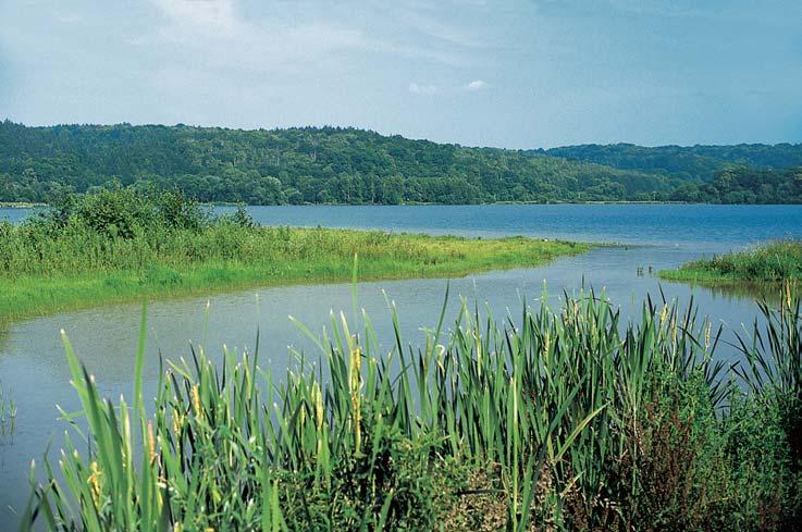 CHKO Litovelské Pomoraví rezervace Moraviãanské jezero km jihov chodnû od mûsta Mohelnice a km severnû od obce Moraviãany.