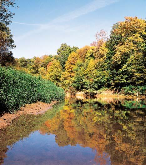 GEOLOGIE eka s prvky níïinného i podhorského toku. Pfiirozenû meandrující hlavní tok fieky Moravy a jeho dvou ramen (Ml nsk potok a Bahenka) uprostfied rozsáhlého komplexu zaplavovan ch luïních lesû.