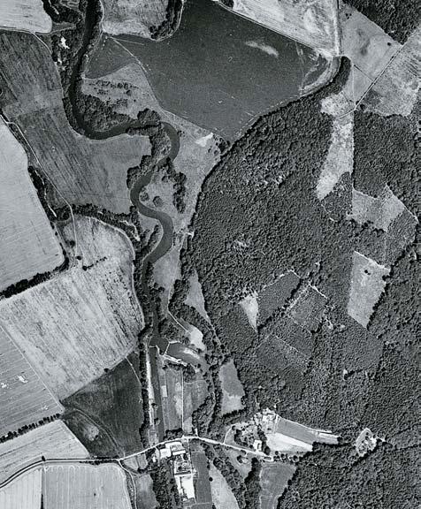 STR. 375, PANENSK LES (), RAMENA EKY