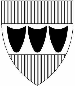 MĚSTO TŘEBÍČ místostarosta Karlovo nám. 104/55, 674 01 Třebíč, adresa pro doručení písemnosti: Masarykovo nám. 116/6, 674 01 Třebíč VÁŠ DOPIS ZN.: ZE DNE: NAŠE ZN.