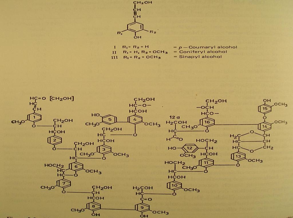 Lignin