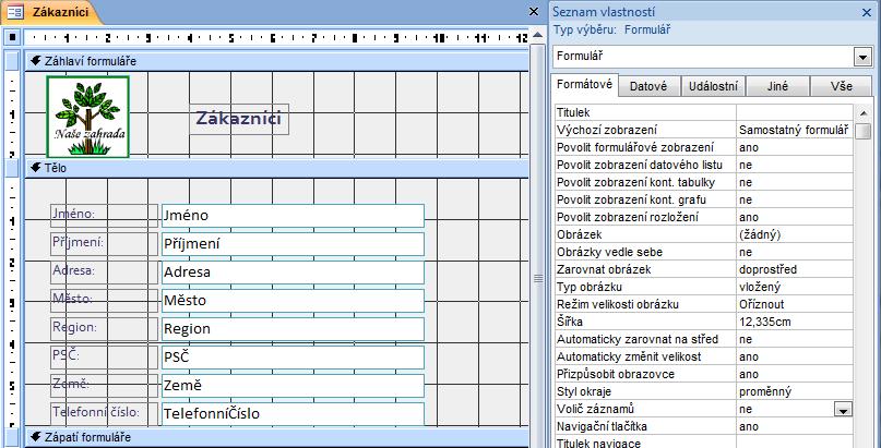 pole, tedy data z tabulky nebo dotazu), Popisek je tzv. nevázaný ovládací prvek (existuje sám o sobě, nepotřebuje žádný zdroj dat).