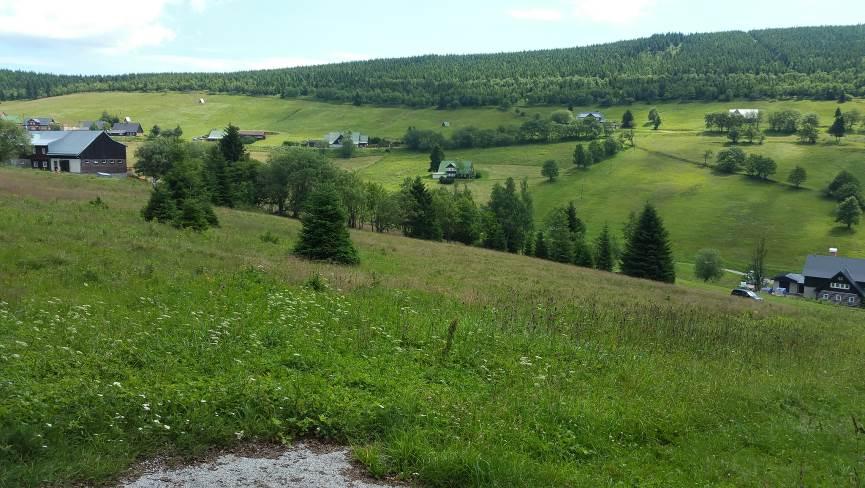 Foto 7: Severozápadní degradovaná část segmentu č. 1, pohled od horní příjezdové komunikace. Foto 8: Severozápadní degradovaná část segmentu č. 1, v pozadí kontejner a horní příjezdová komunikace.