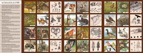 Hra obsahuje hrací plán, karty, žetony s motivem slepic, 4 dřevěné lišky a hrací kostku. Celá je uložená v zajímavém cestovním pouzdře. Obj. č.