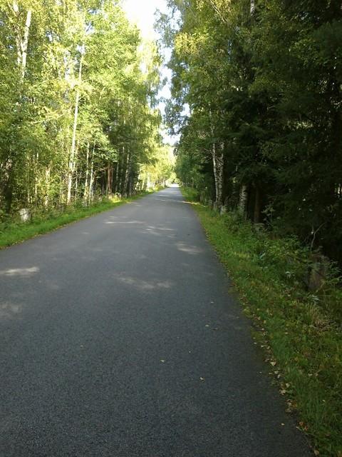 Cesta do Ovesné Sluníčko už zase praží, ale zde je příjemný chládek. Je to taková nádherná cyklistická cesta. Opravdu si ji vychutnávám. Vůbec mi nevadí, že jdu po asfaltu.