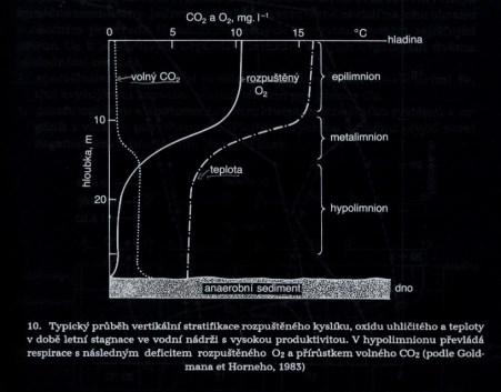 kyslíku ve vodě je závislý na teplotě 0 o C 14,6 mg/l, 25 o C 8,11 mg/l