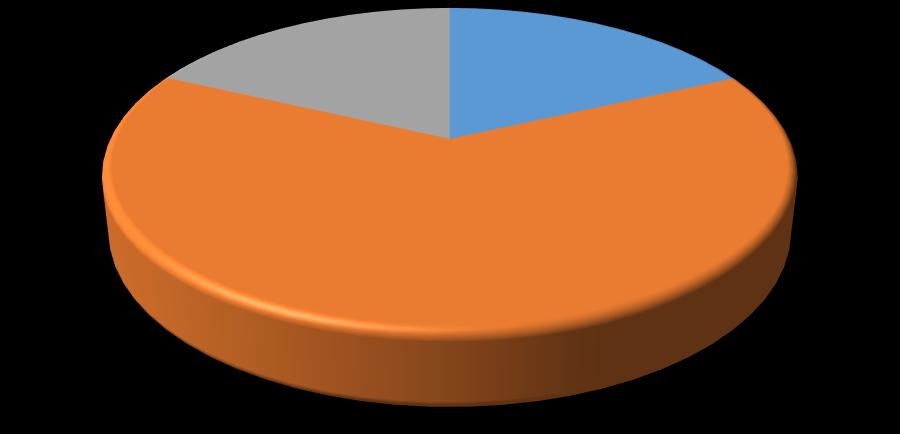 Z grafu 5 lze vidět, že největší mírou se na celkové ceně podílí samotná pažící konstrukce a tvoří 65