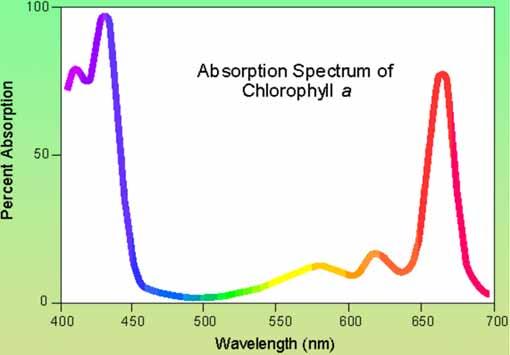 Spektroskopie porfyrinů B a Q přechody ve viditelné