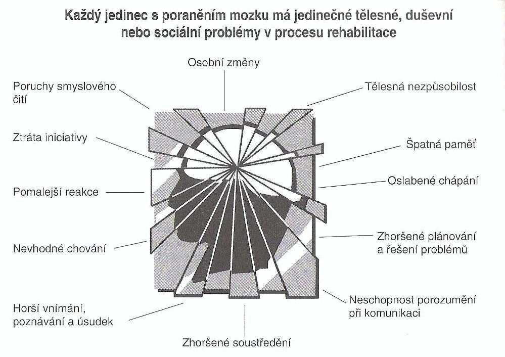 stimuluje interakci mezi členy, tím posiluje pragmatické zručnosti např. výměnu rolí, iniciování komunikace, rozšíření repertoáru různých dorozumívacích funkcí.