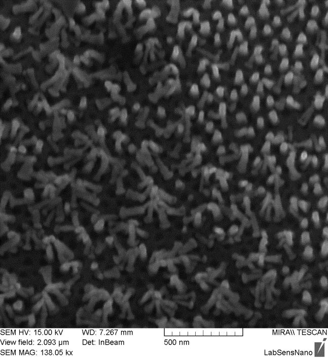 4.2 Zlaté nanočástice V současné době se v mnoha oblastech nanotechnologií začaly využívat zlaté nanočástice hlavně díky jejich výborným vlastnostem.