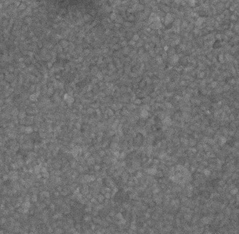 Obrázek 19 SEM-snímek napařené zlaté elektrody 6.1.2 Výroba nanostrukturovaných elektrod Základem pro výrobu nanostrukturovaných elektrod byl wafer, který měl křemíkový základ (500 nm).