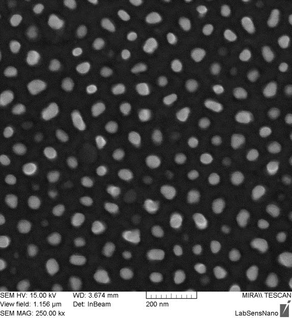 Na levém obrázku (obr. 20) je zobrazen pohled na zlaté nanotyčinky rovnoměrně uspořádané po celém povrchu elektrody.