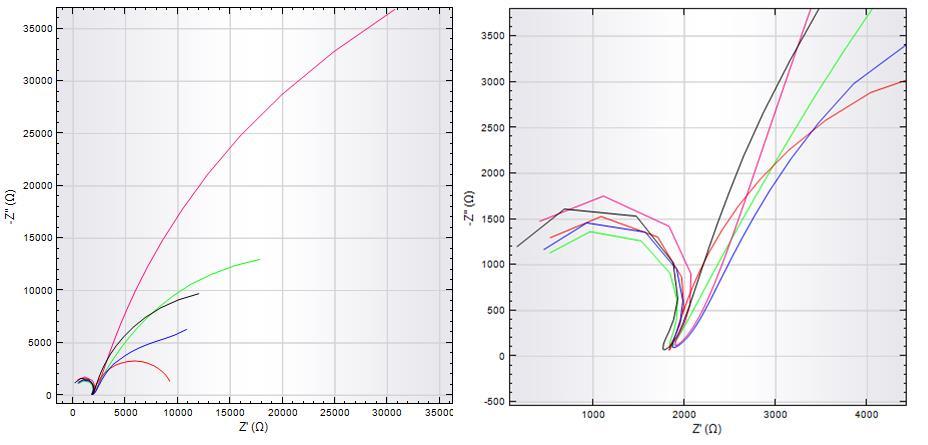 Obrázek 30 Elektrochemická impedanční spektroskopie u nanostrukturovaných elektrod (4h zelená, 8h fialové, 20h červená, 24h modrá, 48h černá) Na obr.