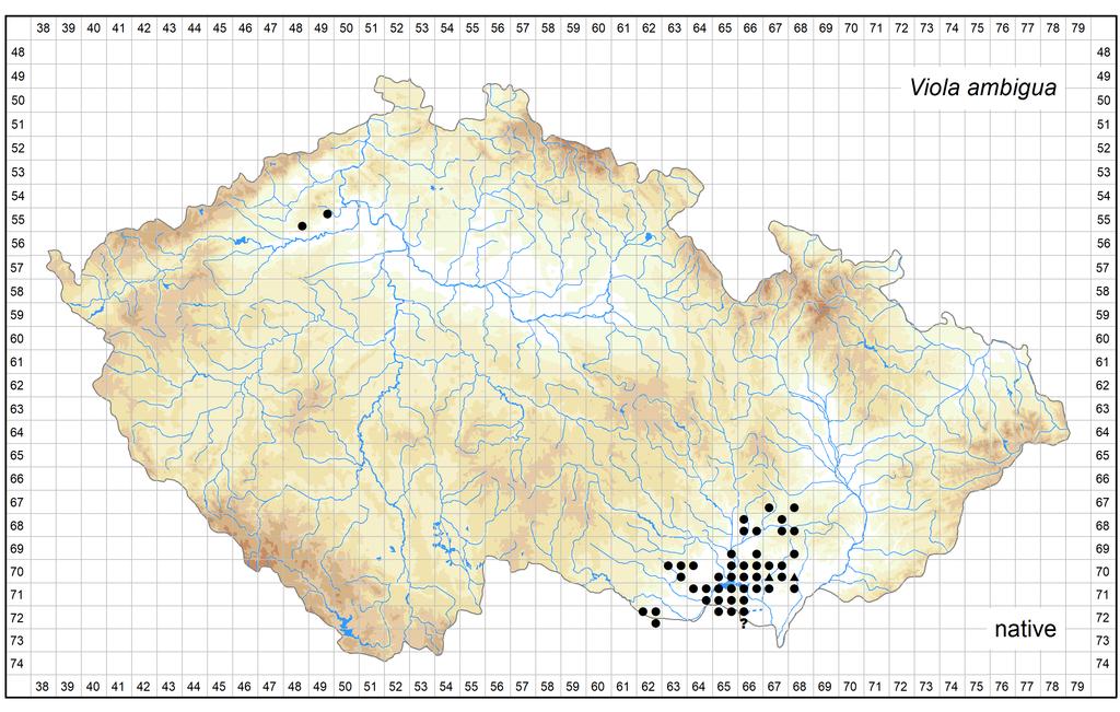 Distribution of Viola ambigua in the Czech Republic Author of the map: Jiří Danihelka, Jan Kirschner Map produced on: 12-06-2018 Database records used for producing the distribution map of Viola