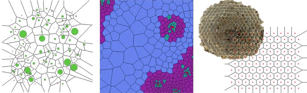 Voroneho diagram. Výsledná struktura bude z horního pohledu množina šestiúhelníků (obr.10). Obrázek 10: Model růstu rostlin (vlevo), simulace růstu buněk (uprostřed), včelí plástve 7.