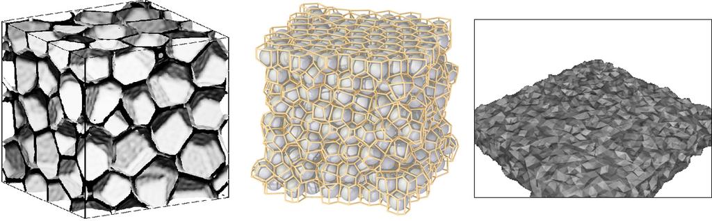 vpravo). Voroneho diagramy se také používají k určení strukturálních vlastností proteinů (nalezení největšího volného prostoru, konstrukce povrchu molekul atd.). Obrázek 12: 3D Voroneho diagramy využívané v chemii 7.