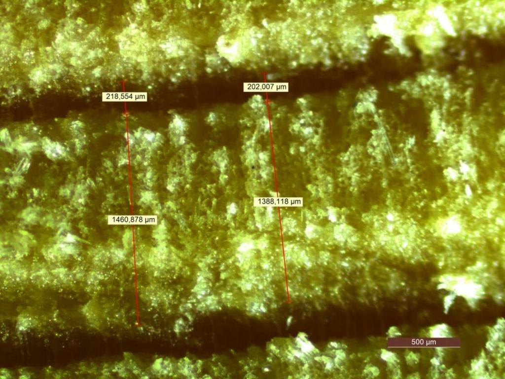 Pro stanovení průměrné šířky letokruhů a podílu letního dřeva bylo vyšetřováno 6 letokruhů na každém vzorku. Obrázek 18.