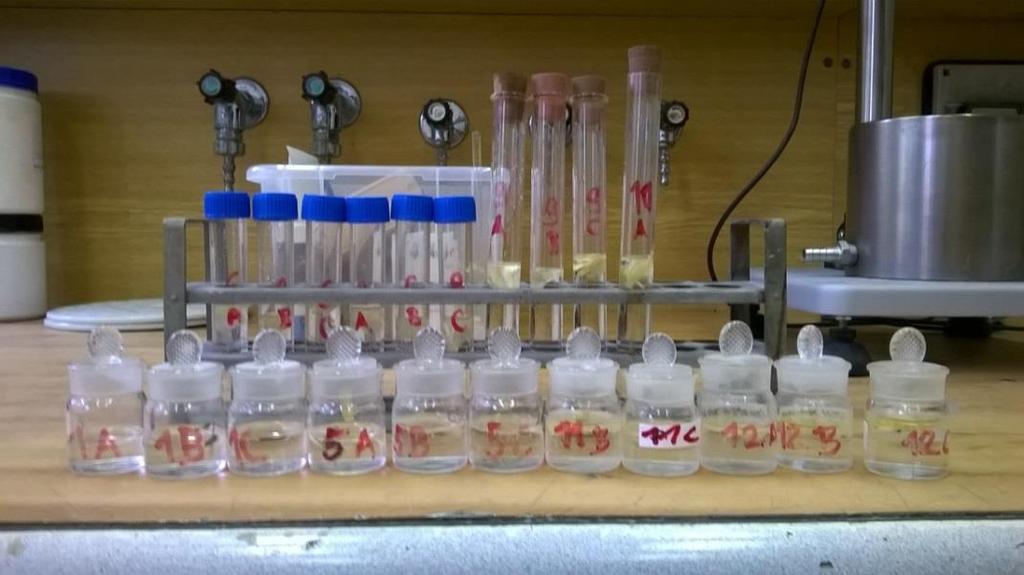 Obrázek 20. Vzorky umístěné v maceračním roztoku. Po 12 hodinách jsou vlákna opláchnuta destilovanou vodou kvůli odstranění macerace.