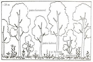 Prostorové -