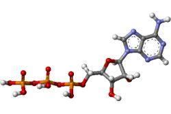 molekula kvantovému chemikovi tuhnou rysy a volí umírněné