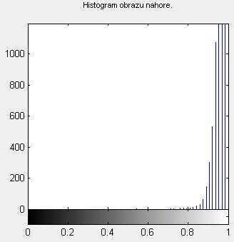 Zpracování genomických sekvencí fraktály diplomová práce 14 Obrázek 17: Histogram obrazu pro Obrázek 16 vpravo. Dojem z obrazu sekvence je značně závislý na zvolené velikosti počítaného obrazu.