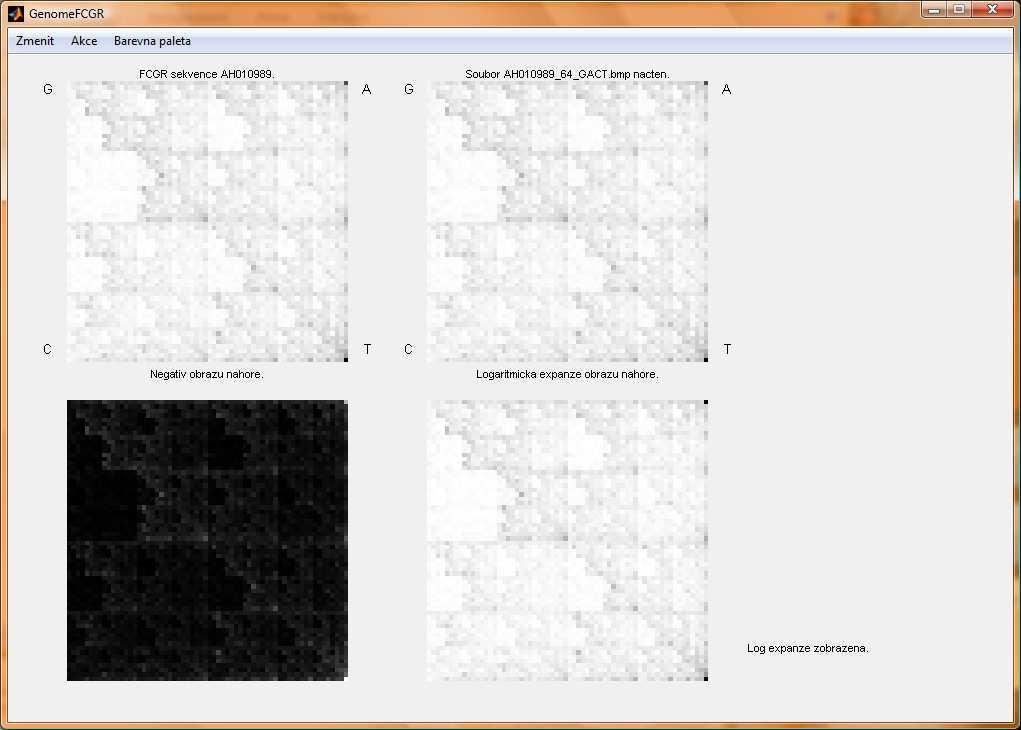 Zpracování genomických sekvencí fraktály diplomová práce 29 Obrázek 32: Program GenomeFCGR metoda FCGR úprava dynamiky. Vlevo dole negativ a vpravo dole logaritmická expanze.