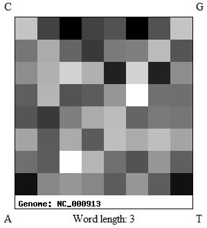 Zpracování genomických sekvencí fraktály diplomová práce 32 podle vzorového obrazu, to znamená, že je nutno změnit velikost počítaného obrazu na 8 x 8 pixelů (viz kap. 3.2.1.