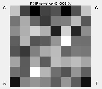 coli spocitany programem GenomeFCGR. Výřez z okna programu. [GenomeFCGR] Z porovnání obrázků výše je patrné, že program GenomeFCGR dává stejný obraz pro sekvenci E. coli jako ve zdroji [10].