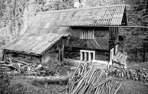 Nejvíc ho zasáhl příběh Aloise Pyszka zhorní Lomné, kterýpřed pár roky zemřel. Přezdíval mu lesní muž. Ač se tento na první pohled podivín lidem vyhýbal, skufouse stali přáteli.