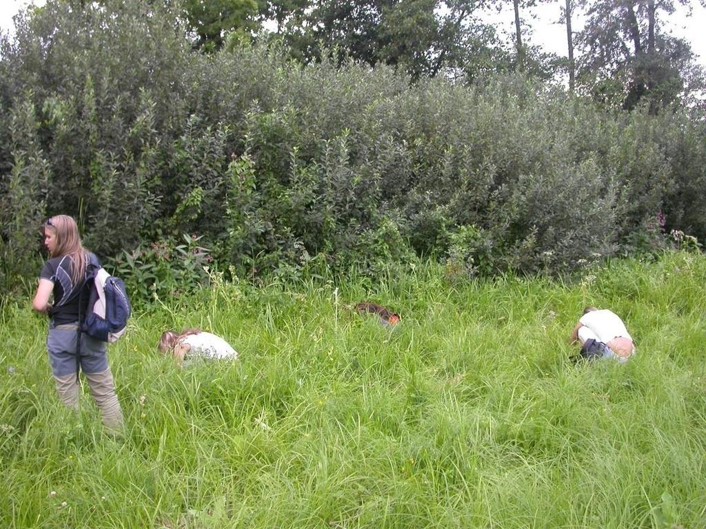 Fauna měkkýši: oblovka velká (Cochlicopa nitens) ekologicky odlišný druh, vázaný především na vápnité