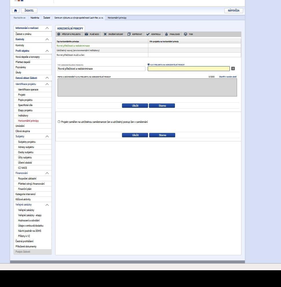 Horizontální principy V tomto formuláři se vyplní typ horizontálního principu. Editovatelné pole se zpřístupní po označení konkrétního typu horizontálního principu.