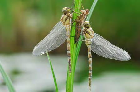 Přednáška s promítáním fotografií W. Gameritha 4.11.