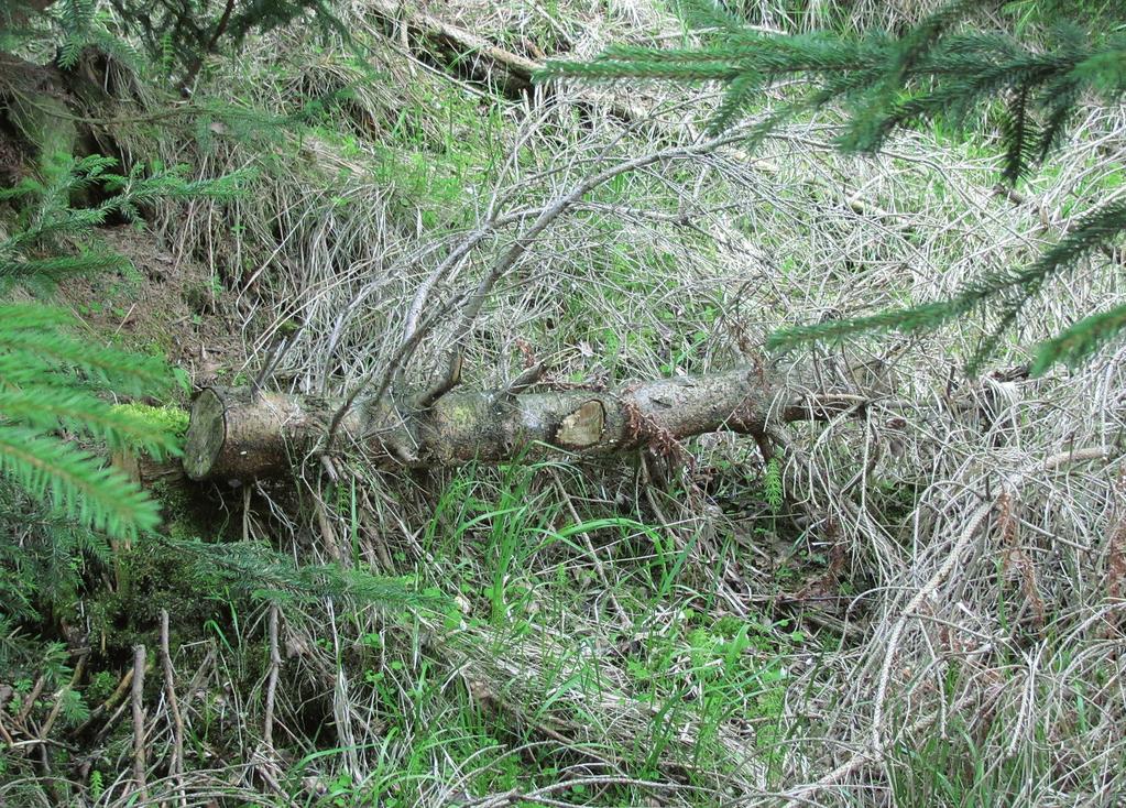 Objem ležícího hroubí podle přibližovací vzdálenosti na odvozní místo Tabulka č. 10 a graf č.