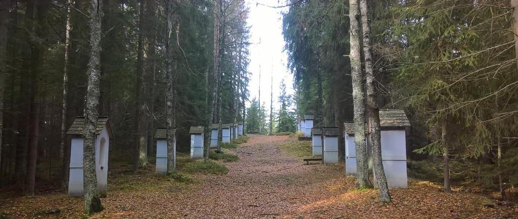 zástavbou podhorského typu s brownfieldem v pozadí