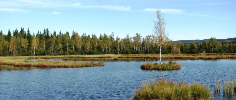 Obrázek 2.5: Chalupská slať (IRI) BOŠICE (3) Obrázek 3.